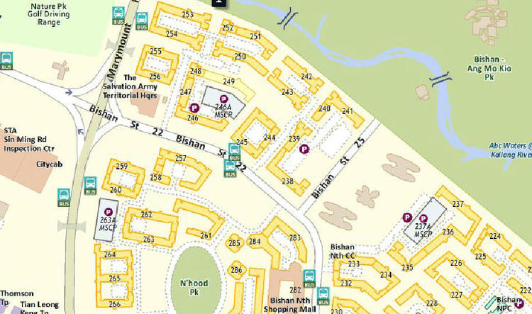 Blk 249 Bishan Street 22 (Bishan), HDB 4 Rooms #114322642